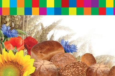 Dożynki wojewódzkie w tym roku w Surażu