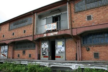 Wyspa Węglowa. Premiera filmu "Stay Gold"