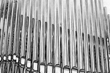 Organowo i kameralnie w Wasilkowie