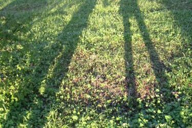 Co można robić w Białymstoku jesienią?