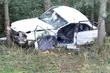 Auto uderzyło w drzewo. Kierowca w ciężkim stanie trafił do szpitala