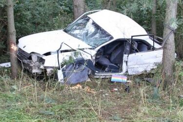 Auto uderzyło w drzewo. Kierowca w ciężkim stanie trafił do szpitala