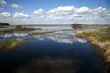 Zbiornik Siemianówka. Bezpłatna wycieczka