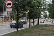 Zieleńce w pasach drogowych przejdą rekultywację