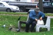 Białystok walczy z problemem psich odchodów i dokarmiania gołębi