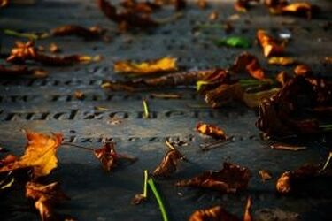 Szczątki z ul. Młynowej zostaną pochowane na cmentarzu ewangelickim