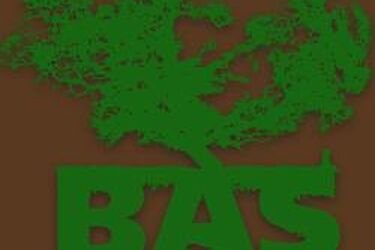 Koncert Bas Tajpana. Pozytywna wibracja w Herkulesach [wideo]