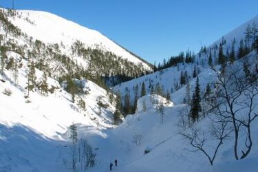 Viva Finladia!  w Bibliotece Uniwersyteckiej