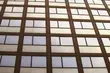 Białostoczanie ocenili pracę magistratu i prezydenta