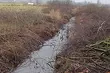 W rowie melioracyjnym znaleziono ciało 61-letniego mężczyzny