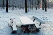 Pijany 15-latek uratowany przed zamarznięciem 
