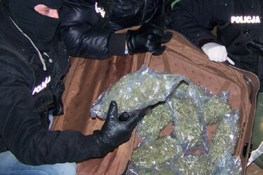 Białystok: Policja przechwyciła 7 kilogramów narkotyków