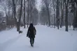 Śnieżyca na Podlasiu