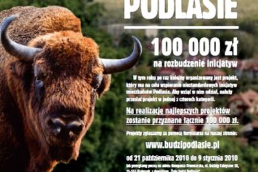 Żubr budzi Podlasie. Trwa trzecia edycja programu