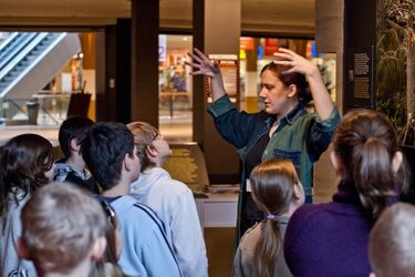 Puszcza Białowieska. Trwa wystawa w galerii Alfa