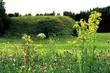 Natura 2000. Murawy w Haćkach mają plan ochrony