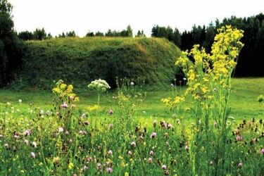 Natura 2000. Murawy w Haćkach mają plan ochrony