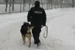 Spowodował kolizję i uciekł z miejsca zdarzenia