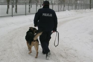 Spowodował kolizję i uciekł z miejsca zdarzenia