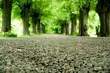 Nad rzeką Narew powstaną bulwary