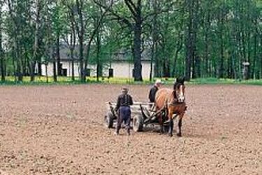 Ten rok będzie Rokiem Miłosza