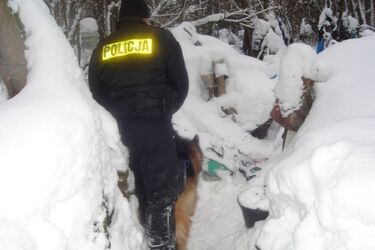 Pies znalazł zwłoki poszukiwanego mężczyzny