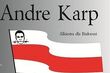 Alkiestra dla Białorusi. Koncert Andre Karpa
