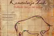 Konstelacja Żubr. Odsłona projektu w Gródku