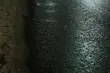 Leżał na drodze. Zginął pod kołami samochodu