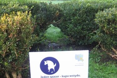 Straż miejska kontroluje właścicieli czworonogów. Grożą 500-złotowe kary