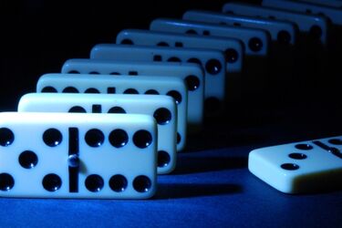 Świadomość obrazu. Opowieść o fotografii