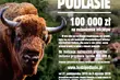 Żubr budzi Podlasie. Znamy zwycięskie projekty programu