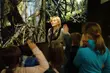 Arbores vitae - ostatnia taka puszcza. Wystawa przedłużona do 6 lutego 