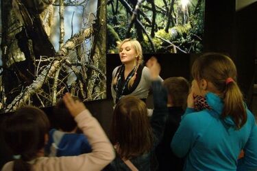 Arbores vitae - ostatnia taka puszcza. Wystawa przedłużona do 6 lutego 