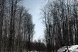Tragiczny kulig. Dwie osoby w szpitalu
