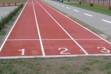 Trwa nabór wniosków o stypendia sportowe marszałka