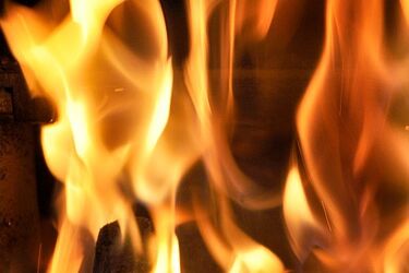 W nocnym pożarze zginęły dwie osoby