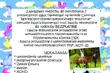 Hipoterapia. Zapisy na bezpłatne zajęcia