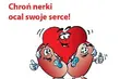 10 marca obchodzimy Światowy Dzień Nerek