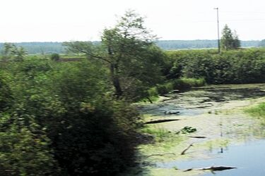 Przystąpiono do prac nad planami ochrony terenów Natura 2000