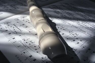 Flażolet 2011. Pierwszy Przegląd Zespołów Grających na Flażoletach 