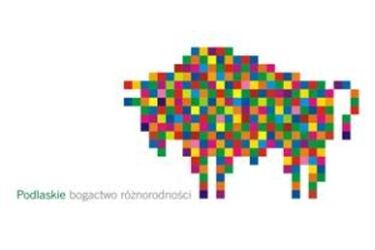 Podlaska Marka Roku 2010. Prezentacja produktów zgłoszonych do konkursu