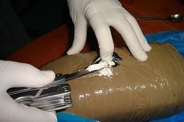 53 kg - w Podlaskiem zatrzymano największy w Polsce przemyt amfetaminy