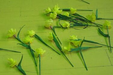 Rozkwitają Żonkilowe Pola Nadziei.  Kwesta na ulicach Białegostoku