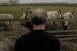 Objazdowa Etiuda&Anima. Najlepsze filmy festiwalu również w Białymstoku