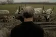 Objazdowa Etiuda&Anima. Najlepsze filmy festiwalu również w Białymstoku