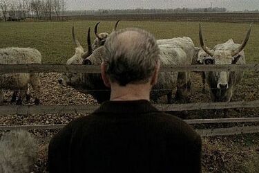 Objazdowa Etiuda&Anima. Najlepsze filmy festiwalu również w Białymstoku