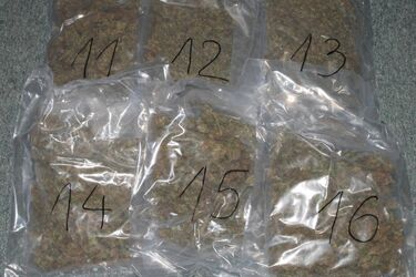 Podlaska SG i ABW rozbiły grupę przemycającą narkotyki