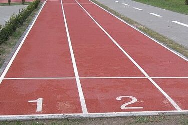 Najlepsi podlascy sportowcy otrzymali nagrody marszałka
