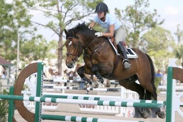 Otwarte Regionalne Zawody w Ujeżdżeniu i Skokach